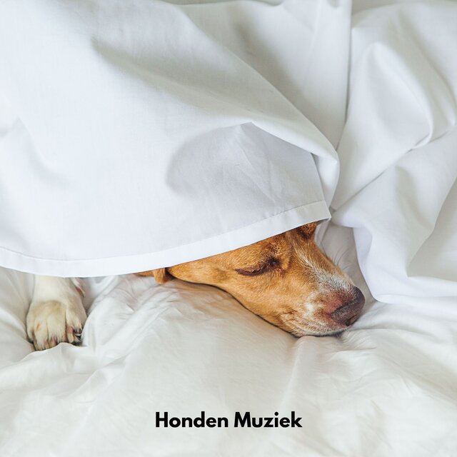 Honden Muziek