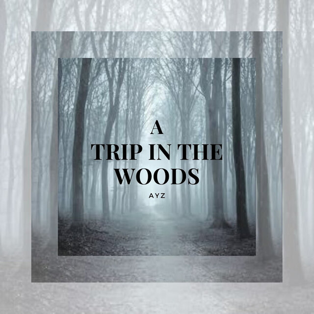 A Trip in the Woods
