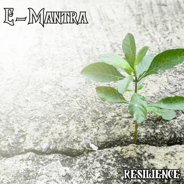 Resilience