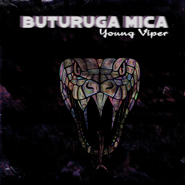 Buturuga mica