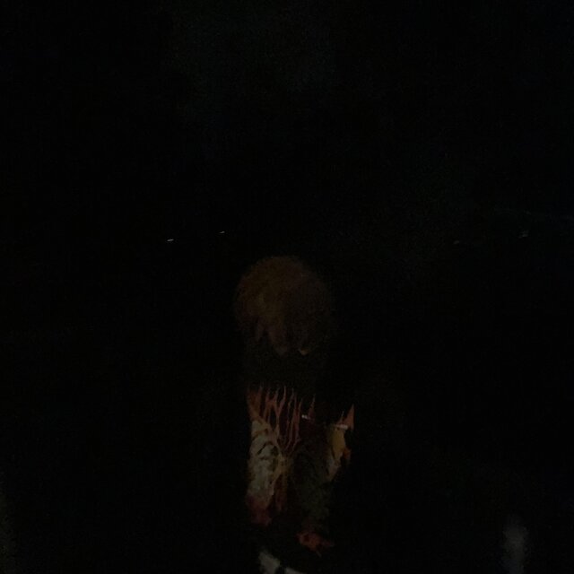 Fukktre