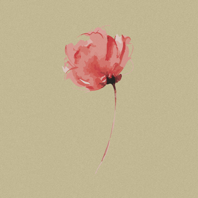 Blossom