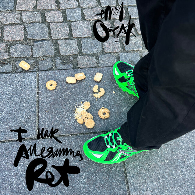 I har allesammen ret