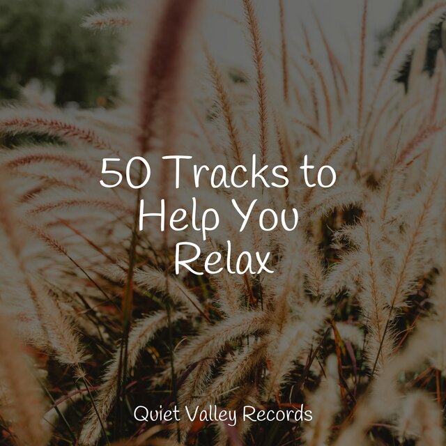 50 Tracks to Help You Relax