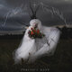 Cover art for album Precious Bane by Jim White, Trey Blake