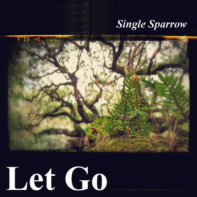 Let Go
