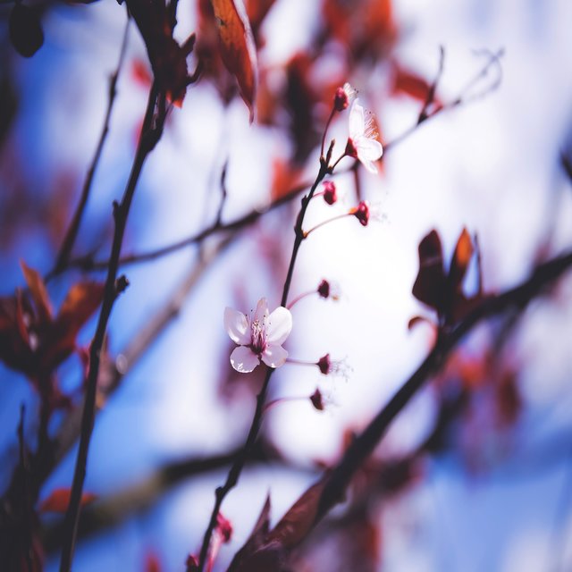 Sweet Beginnings