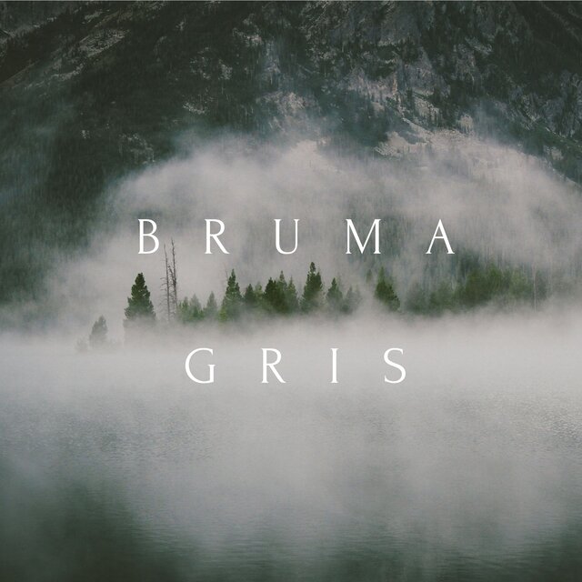 Bruma gris
