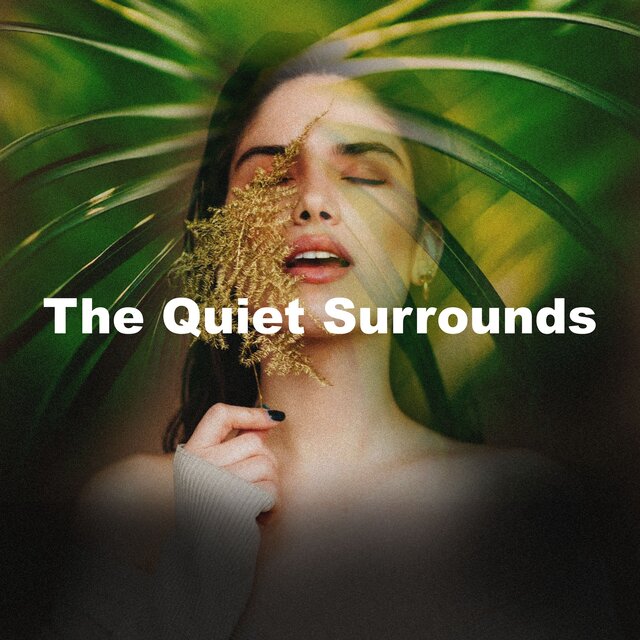 The Quiet Surrounds