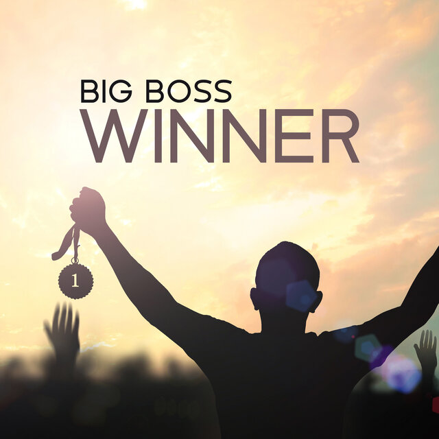 Big Boss Winner