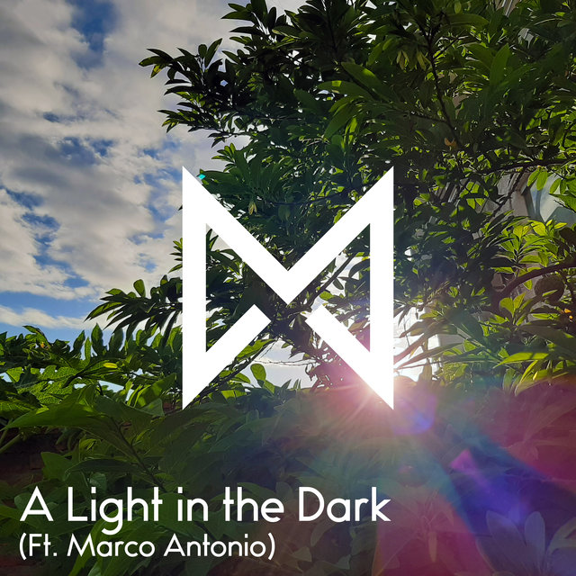 A Light in the Dark