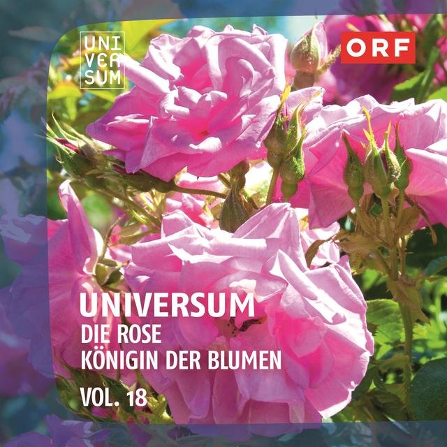 ORF Universum, Vol. 18