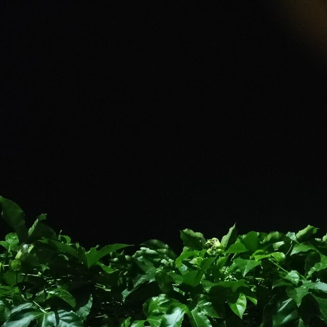 Bagaikan langit