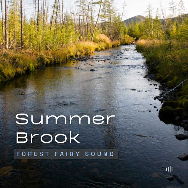 Summer Brook