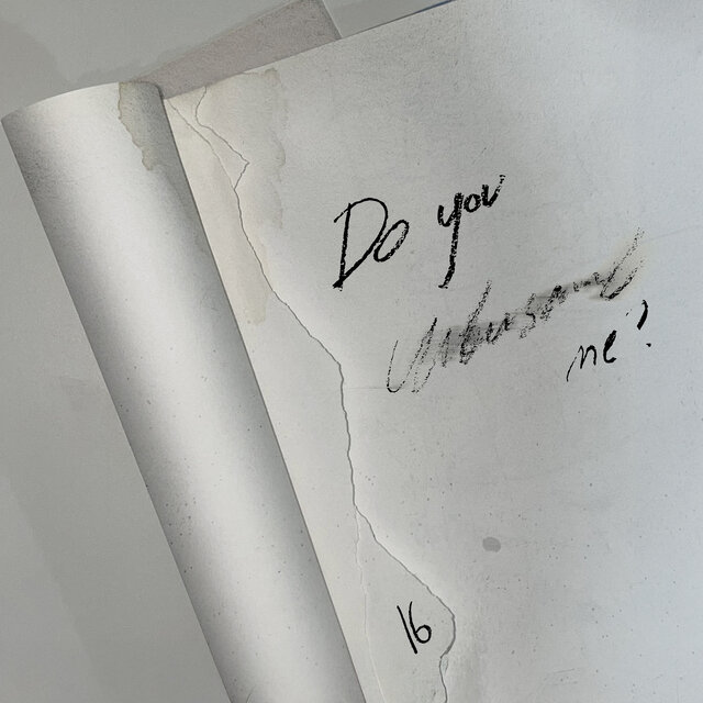 Do you understand me?