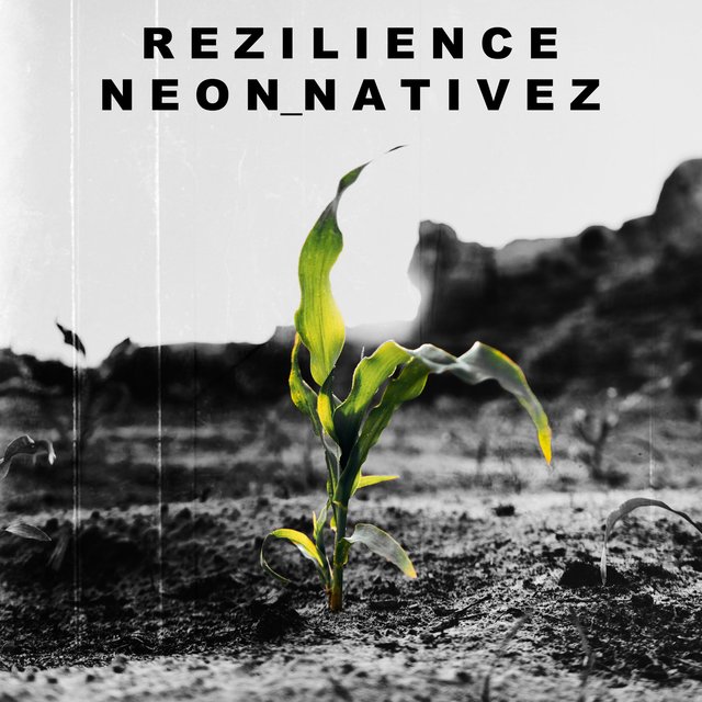 R E Z I L I E N C E