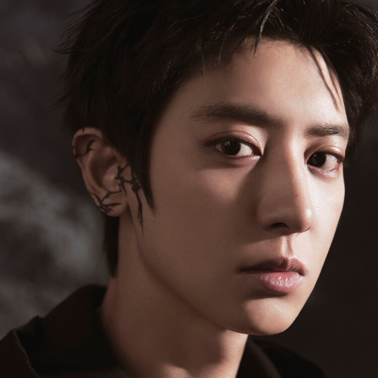 CHANYEOL - TIDAL