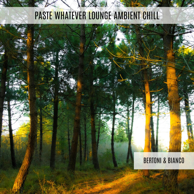 Paste Whatever Lounge Ambient Chill