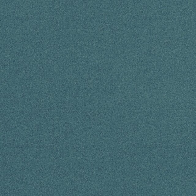 swim