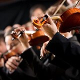 Serene Orchestra Eases into Night