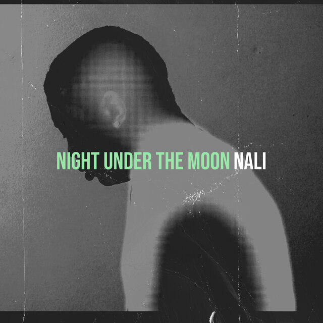 Night Under the Moon