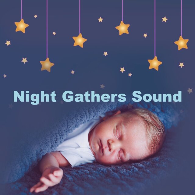 Night Gathers Sound