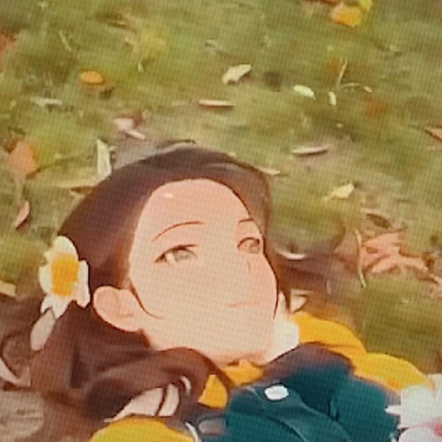Petals