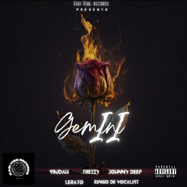 Gemini Part 2