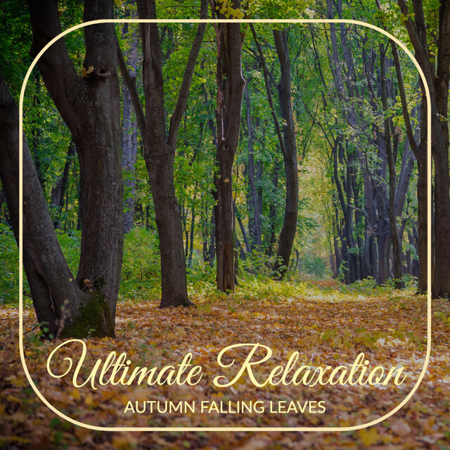 Autumn Falling Leaves