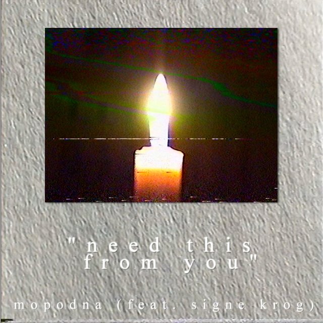 Need This from You (feat. Signe Krog)