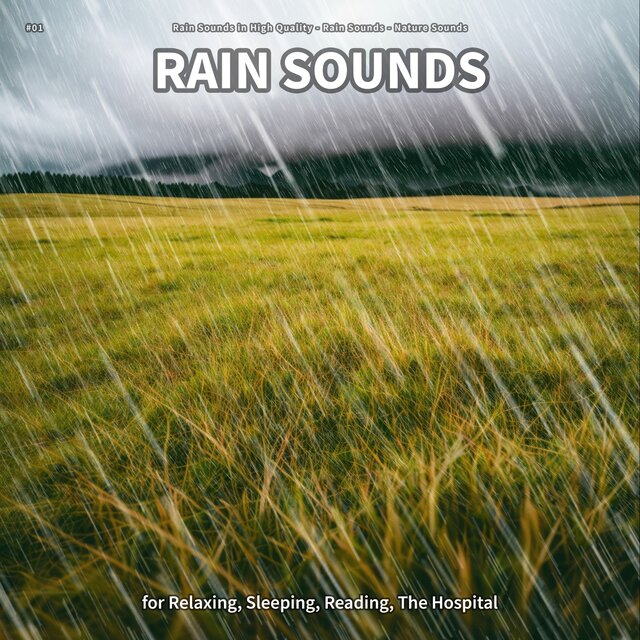 #01 Rain Sounds for Relaxing, Sleeping, Reading, The Hospital