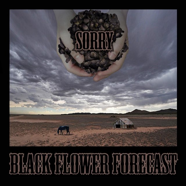 Black Flower Forecast