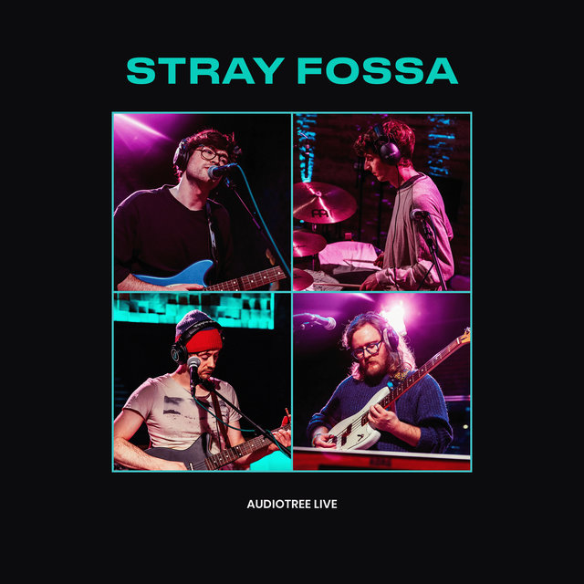 Stray Fossa On Audiotree Live