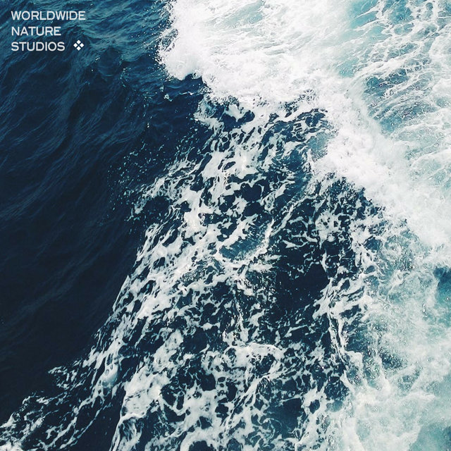 Ocean HD (Vol. 5)