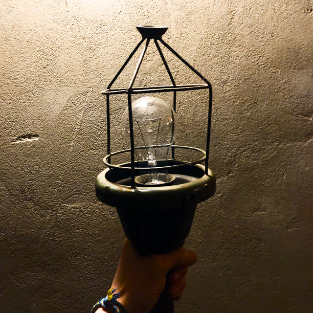 Fake hope of a moth