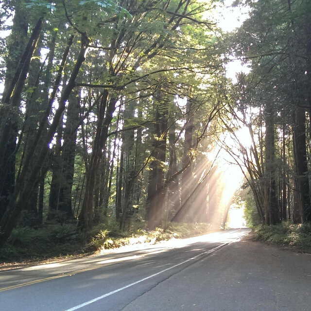 Sunbeam