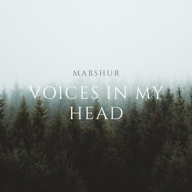 Voices In My Head