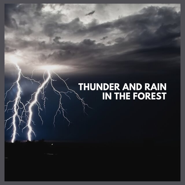 Thunder and Rain in the Forest
