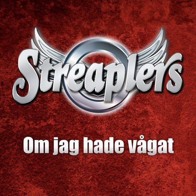 Om jag hade vågat