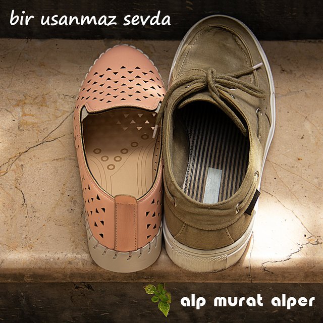 Bir Usanmaz Sevda