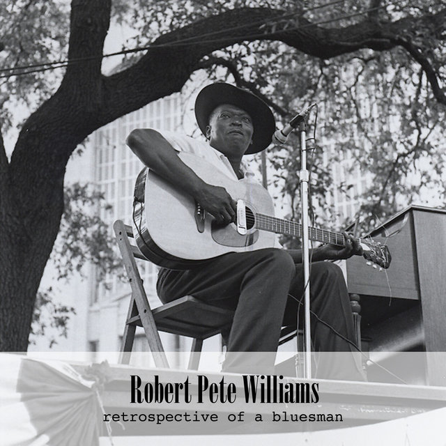 Retrospective of a Bluesman