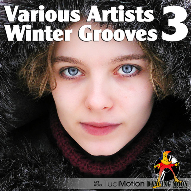 Winter Grooves, Vol. 3