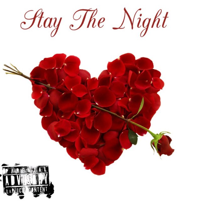 Stay The Night