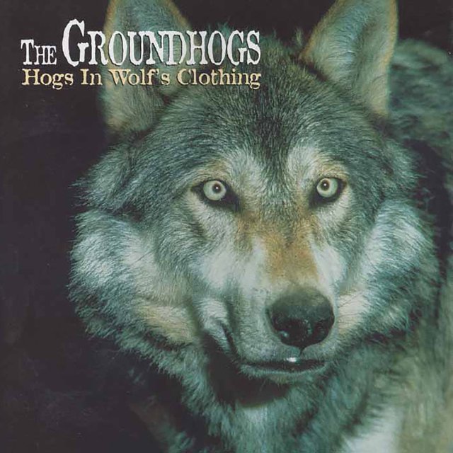 Hogs in Wolf's Clothing