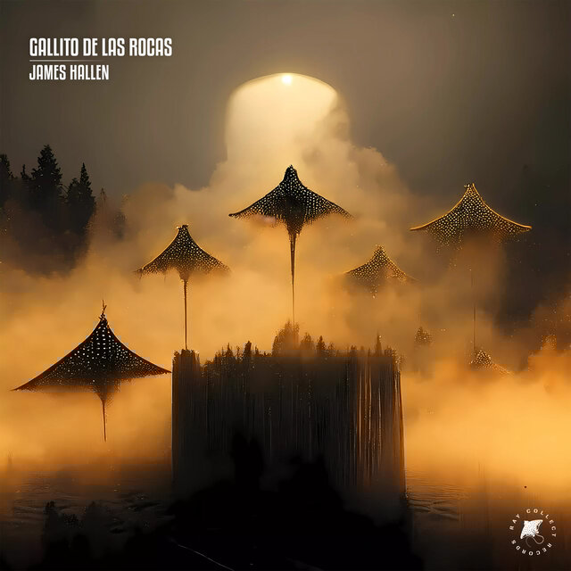 Gallito De Las Rocas