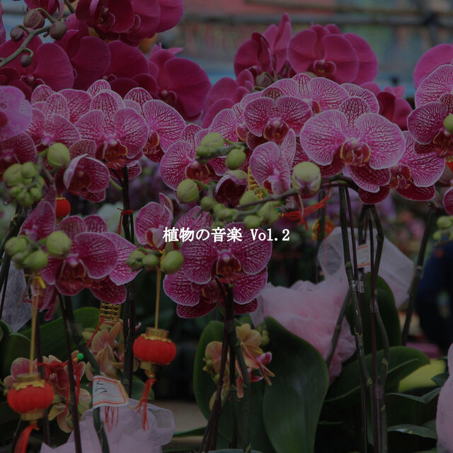 植物の音楽 Vol.2