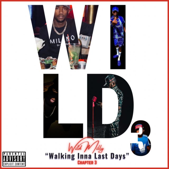 Intro (#WILD3)