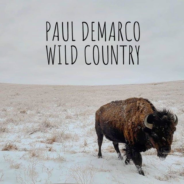 Wild Country