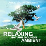 Calming Nature Sounds