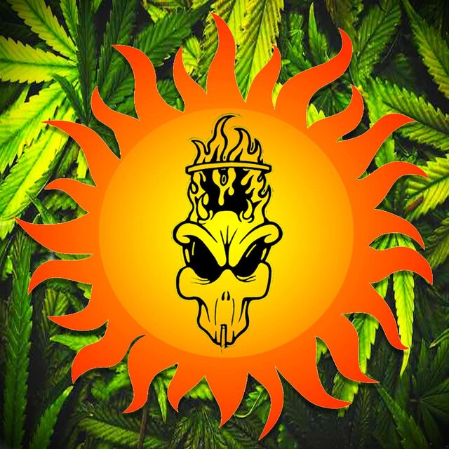 Summer Smoke Out 2